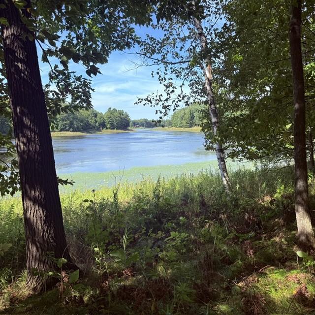 Tbd West Lilja Avenue Shell Lake, WI 54871 - Photo 5 of 23 Gallery Image 5