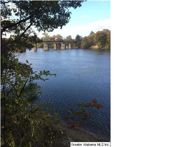 0 Highway 77, Unit 24 AC Ohatchee, AL 36271 - Photo 11 of 13