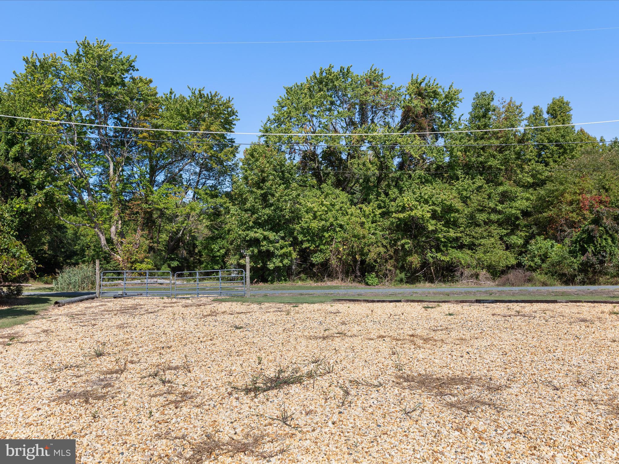 23483 Beckett Road Deal Island, MD 21821 - Photo 40 of 58 Rear Yard