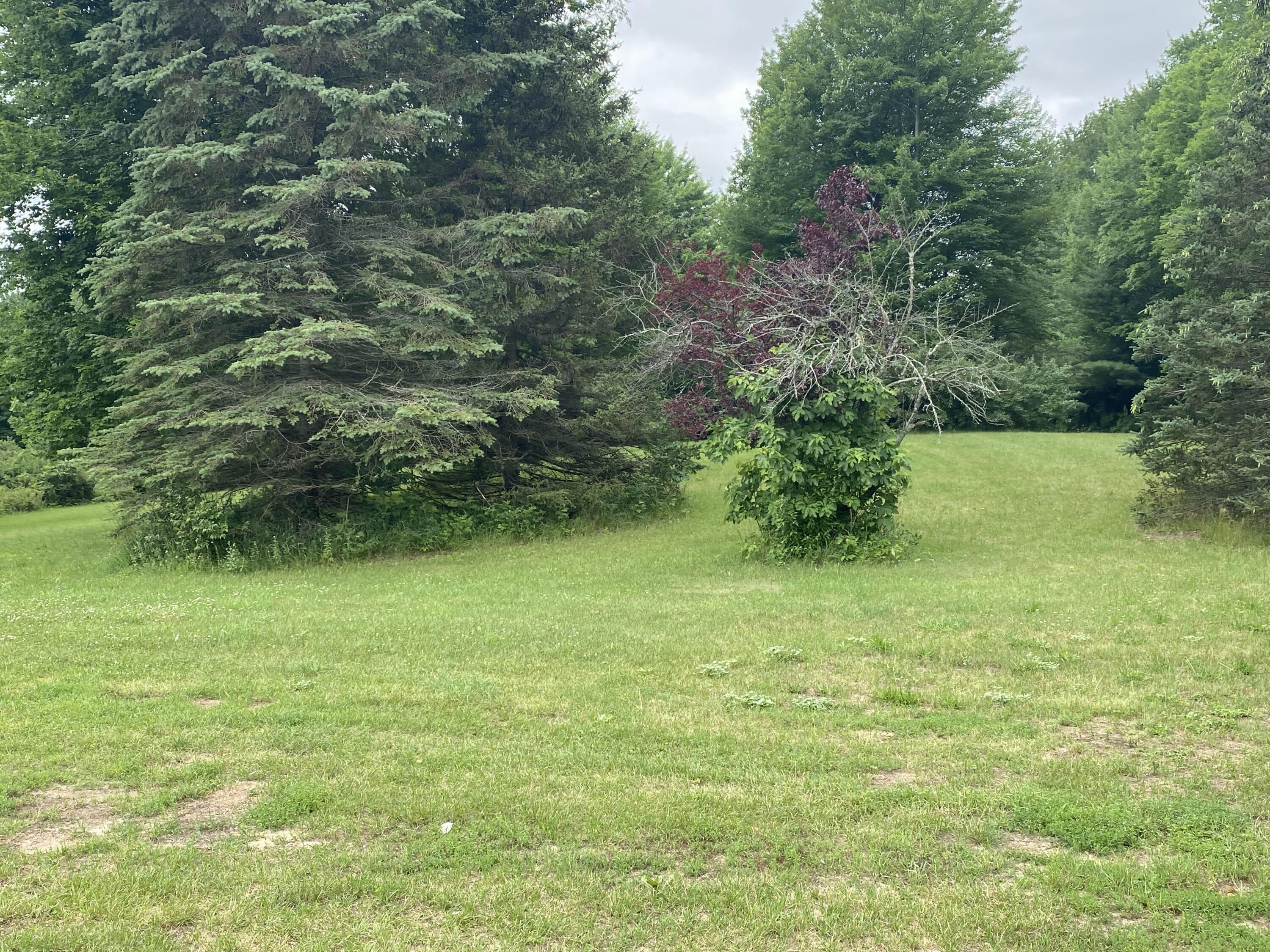 1919 Clay Road Rothbury, MI 49452 - Photo 3 of 17 IMG_3080