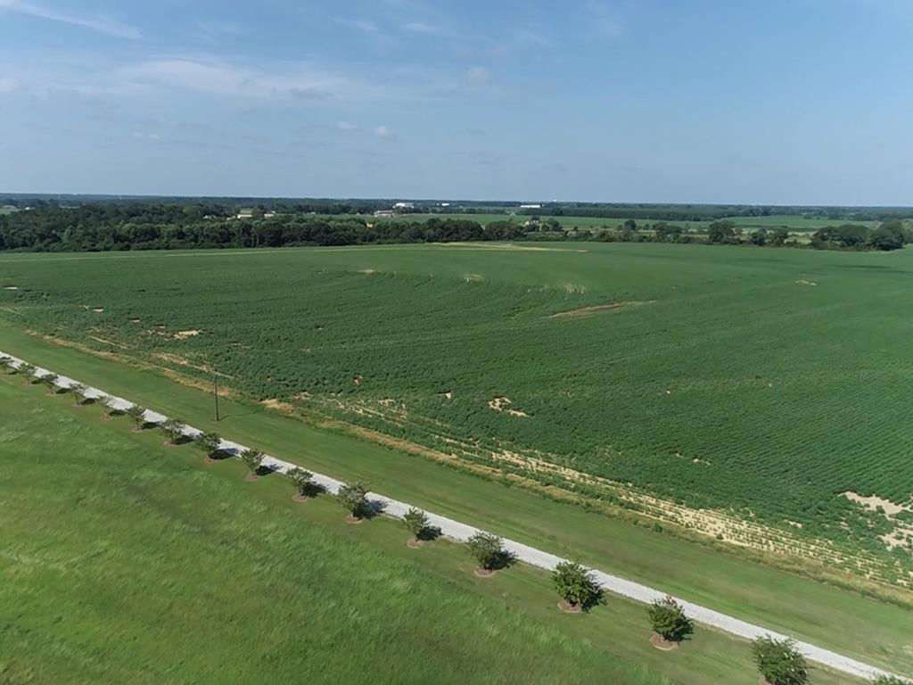 132.3-ac Green Road Dothan, AL 36303 - Photo 3 of 63
