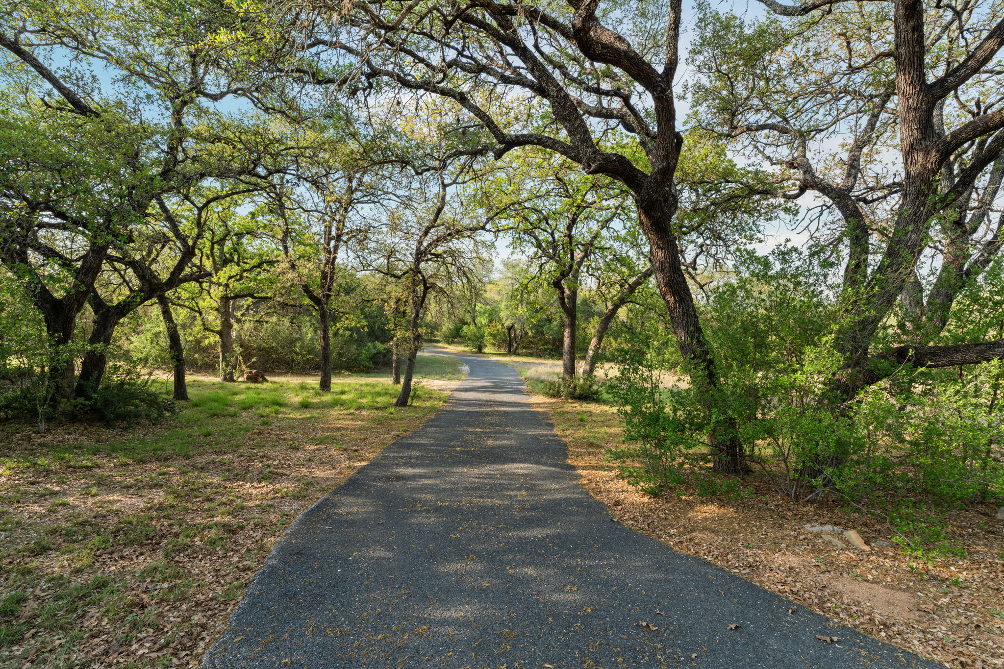23426 Oscar Road Spicewood, TX 78669 - Photo 8 of 40 The home is situated on 5.09 acres and the property is absolutely gorgeous.