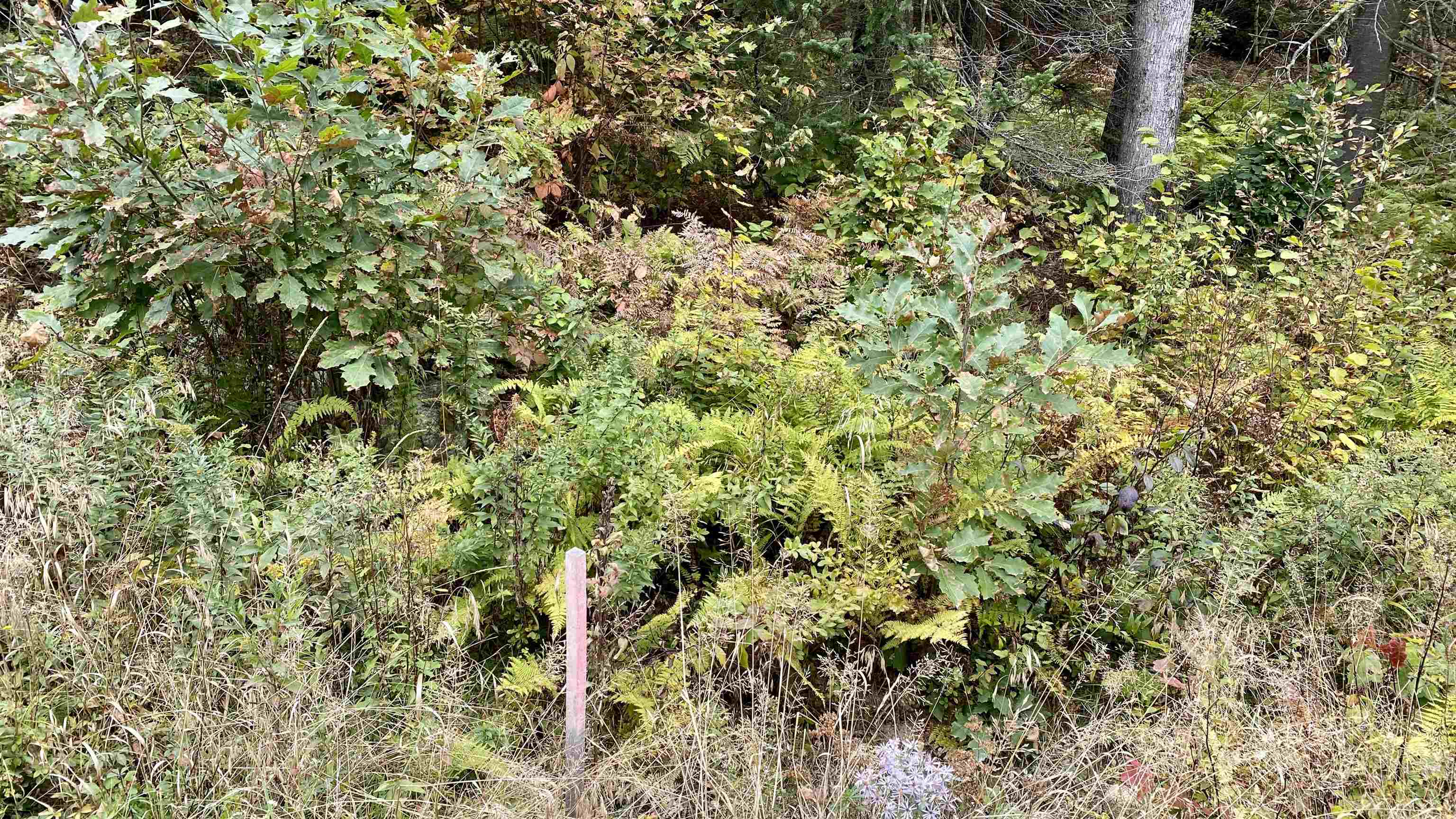 0 New Road, Unit MAP 7 LOT 703 Center Barnstead, NH 03225 - Photo 11 of 22