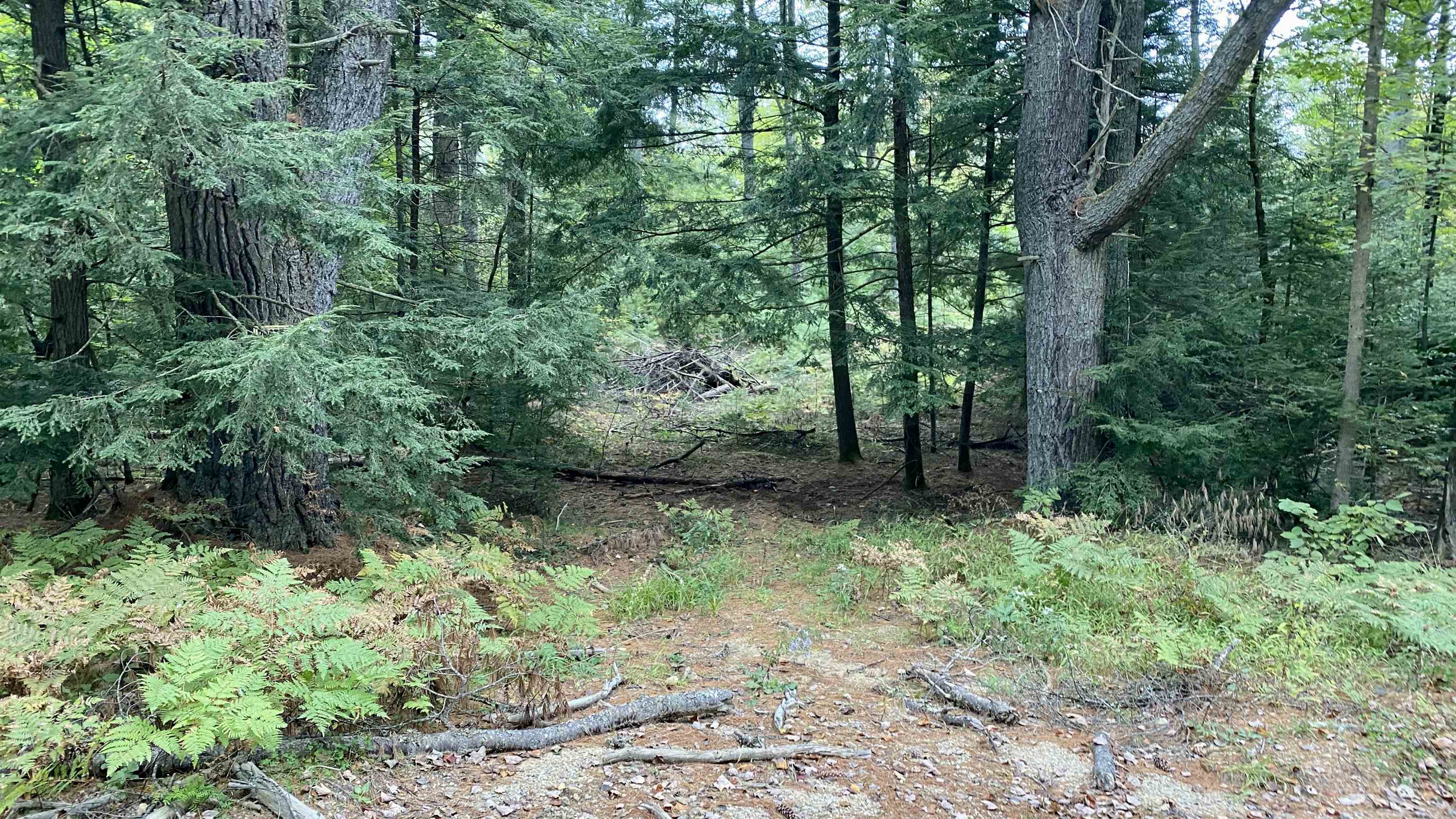 0 New Road, Unit MAP 7 LOT 703 Center Barnstead, NH 03225 - Photo 12 of 22