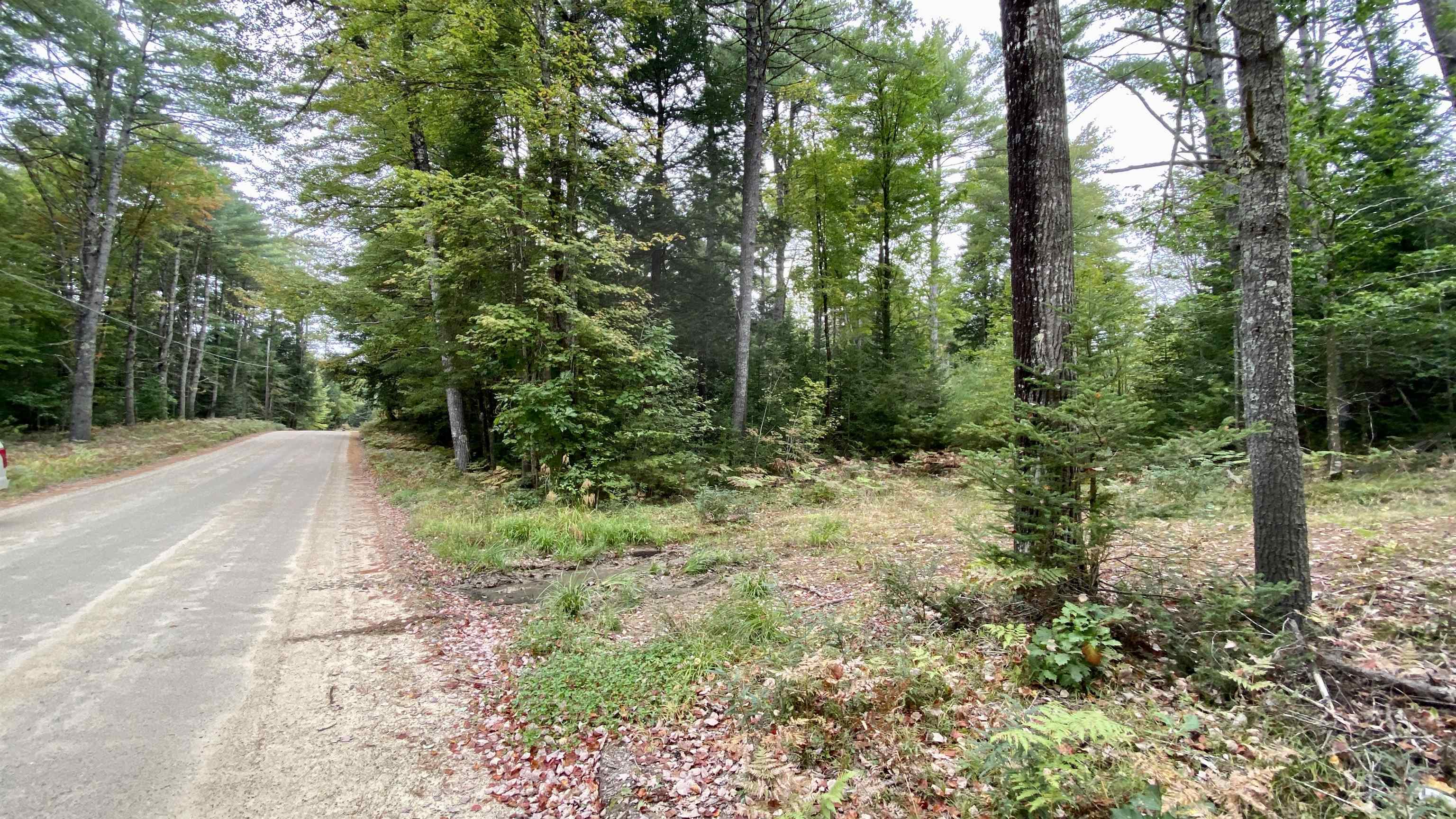 0 New Road, Unit MAP 7 LOT 703 Center Barnstead, NH 03225 - Photo 13 of 22