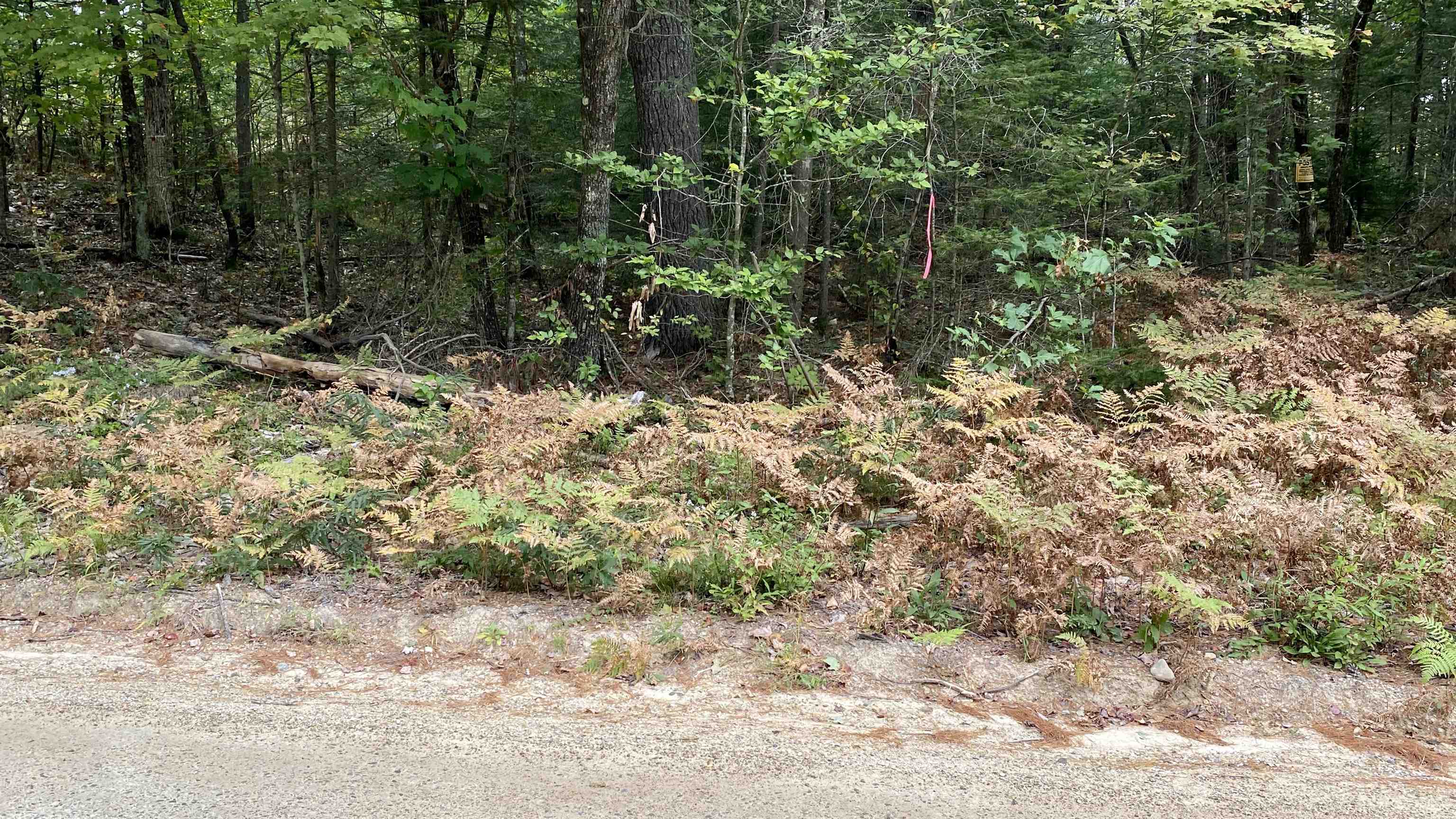 0 New Road, Unit MAP 7 LOT 703 Center Barnstead, NH 03225 - Photo 15 of 22