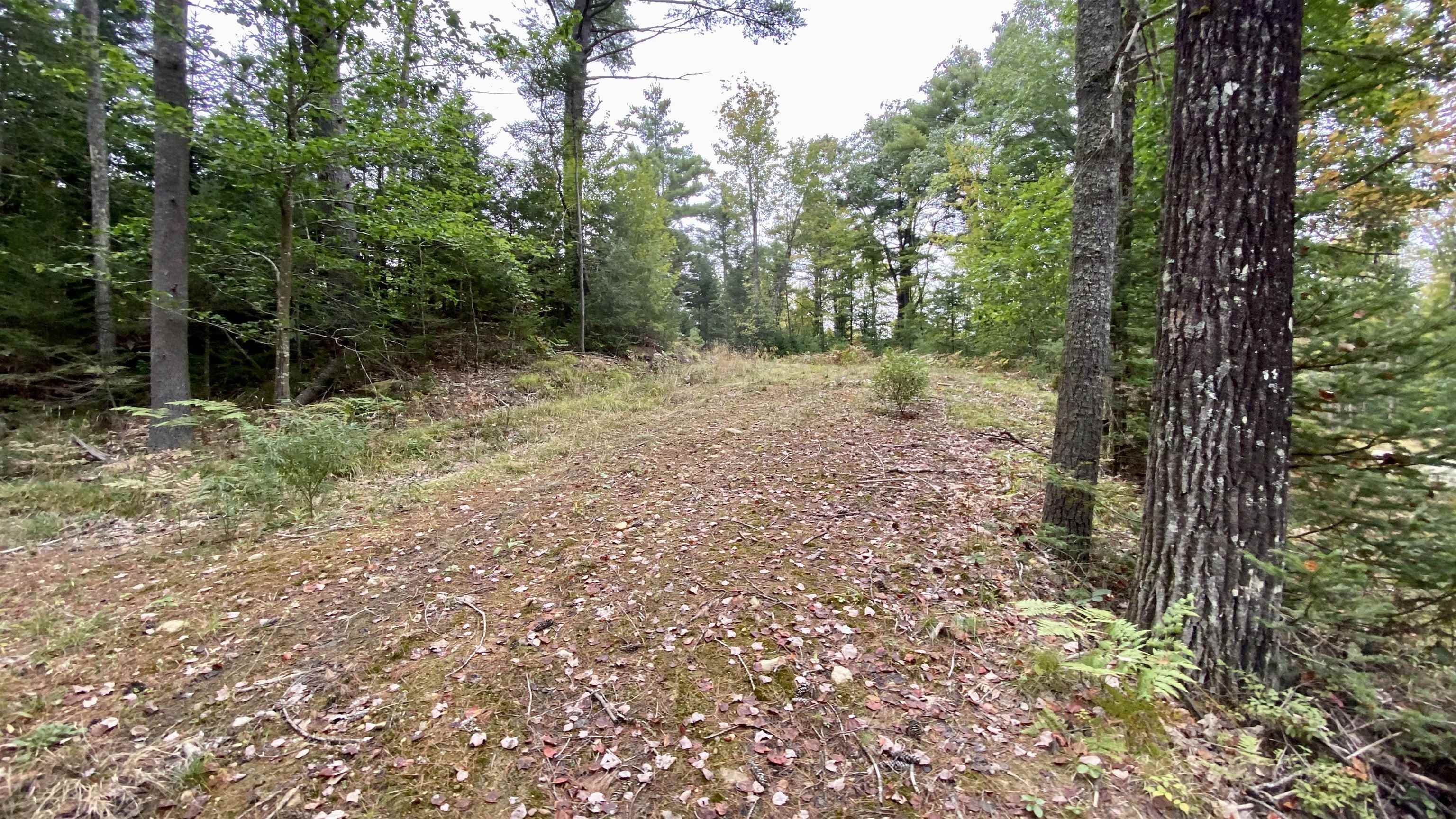 0 New Road, Unit MAP 7 LOT 703 Center Barnstead, NH 03225 - Photo 16 of 22