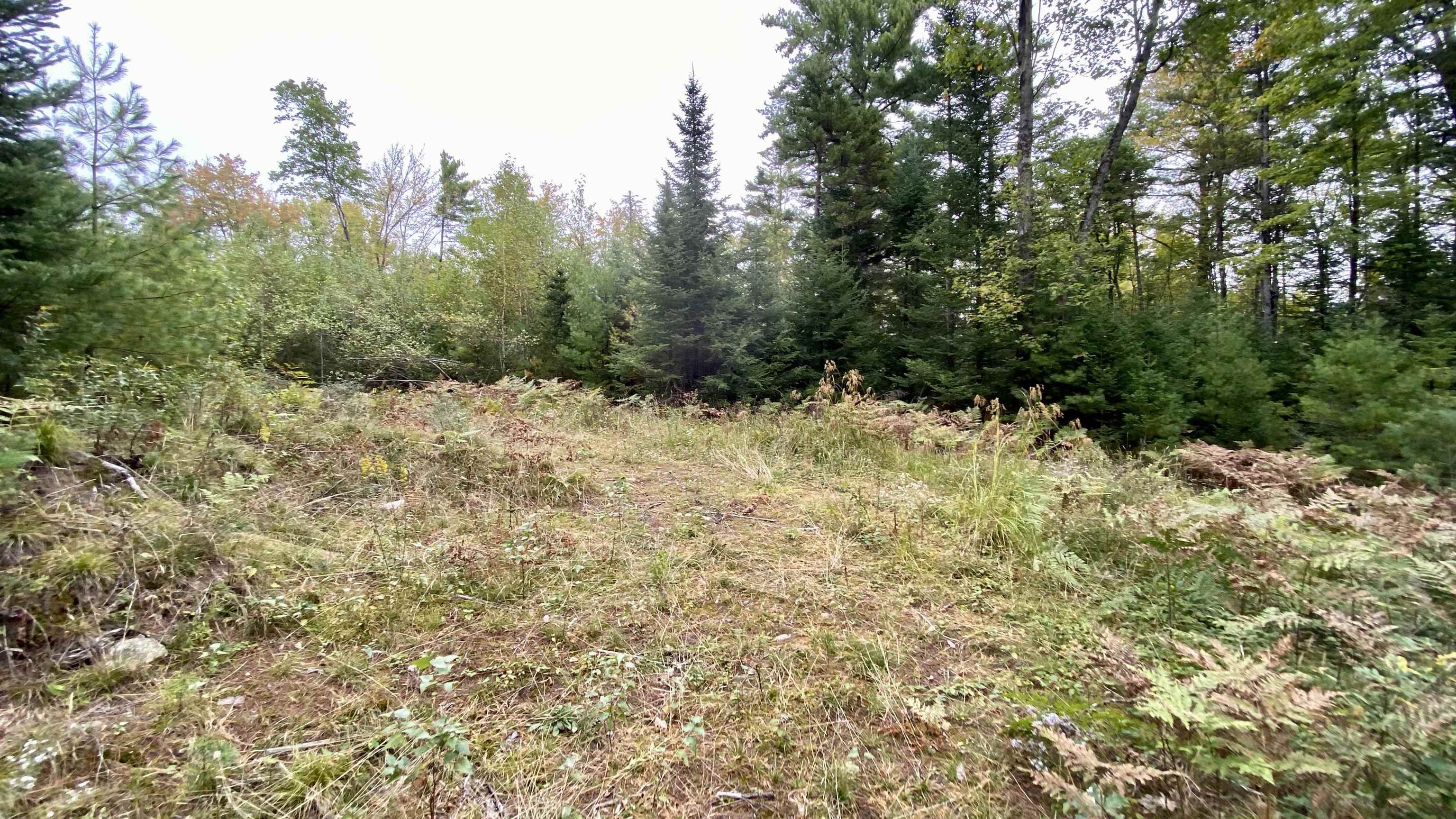 0 New Road, Unit MAP 7 LOT 703 Center Barnstead, NH 03225 - Photo 17 of 22