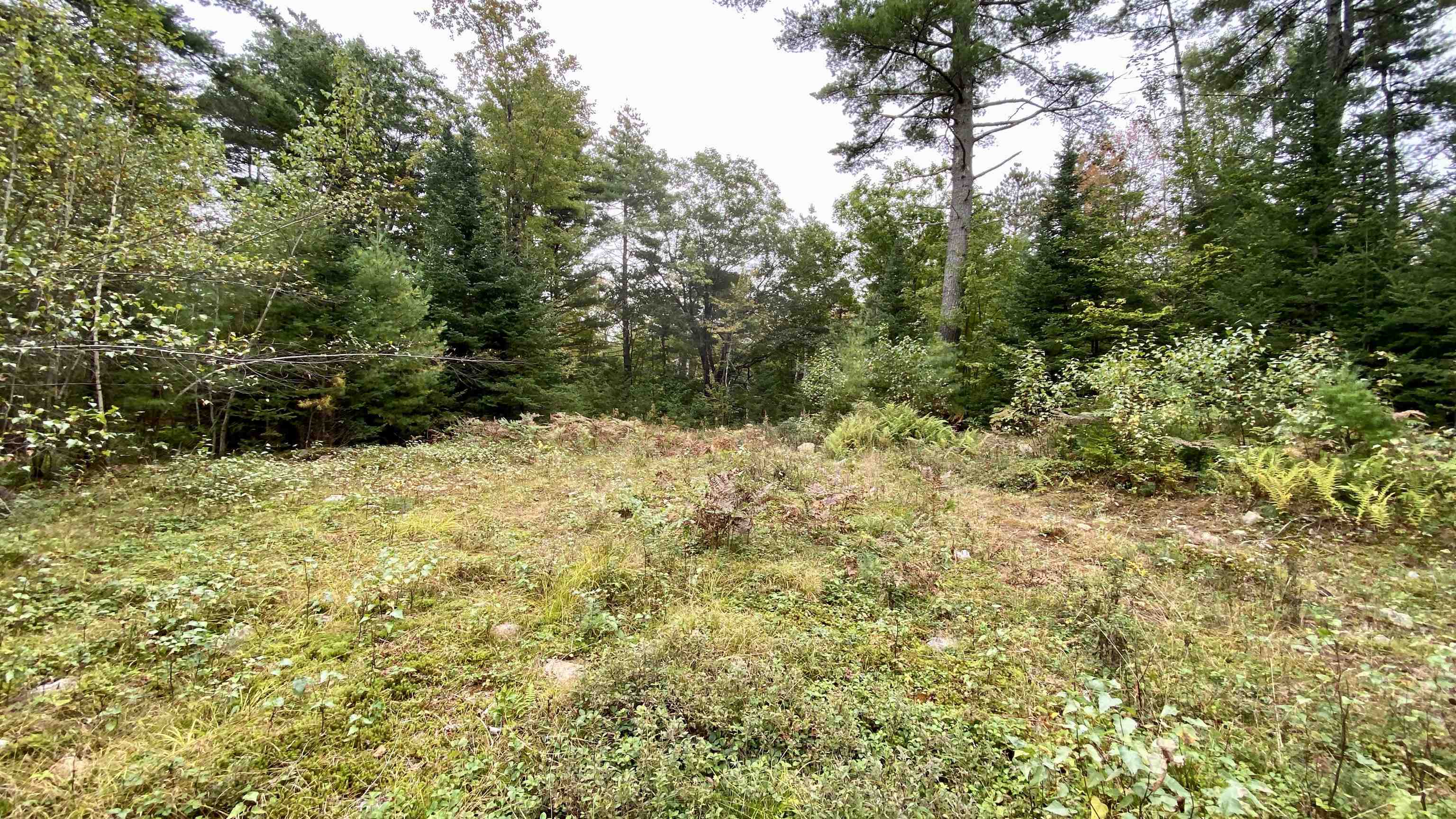 0 New Road, Unit MAP 7 LOT 703 Center Barnstead, NH 03225 - Photo 18 of 22