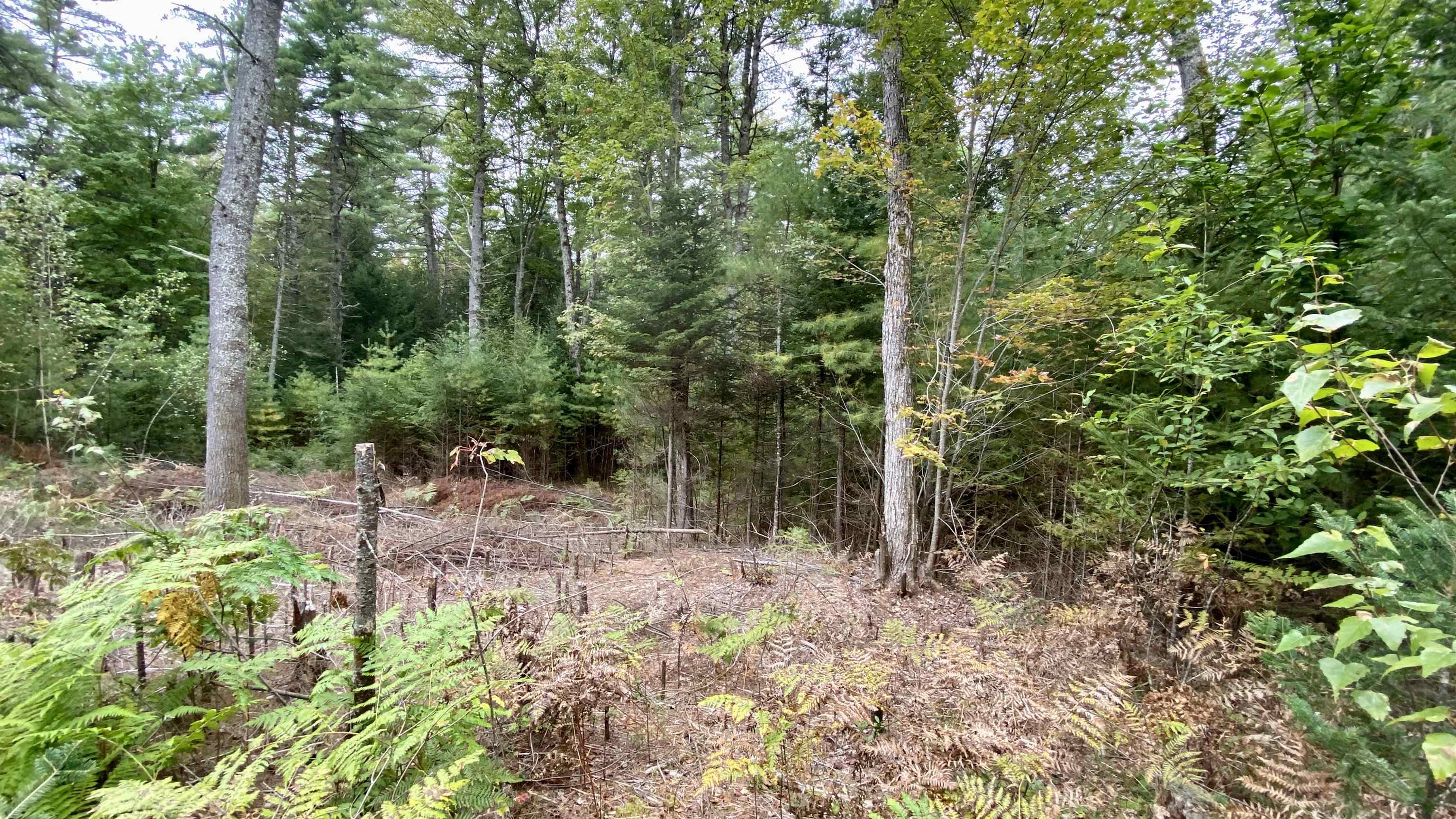 0 New Road, Unit MAP 7 LOT 703 Center Barnstead, NH 03225 - Photo 19 of 22