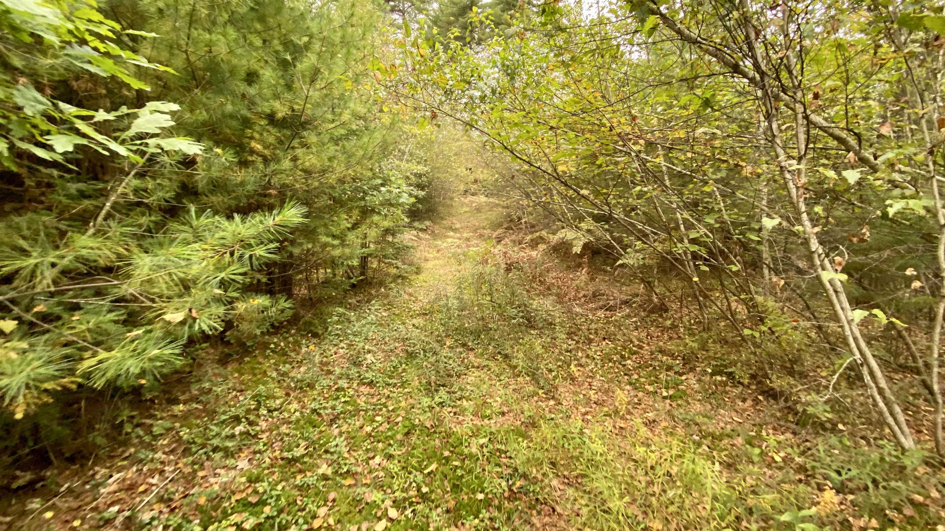 0 New Road, Unit MAP 7 LOT 703 Center Barnstead, NH 03225 - Photo 20 of 22