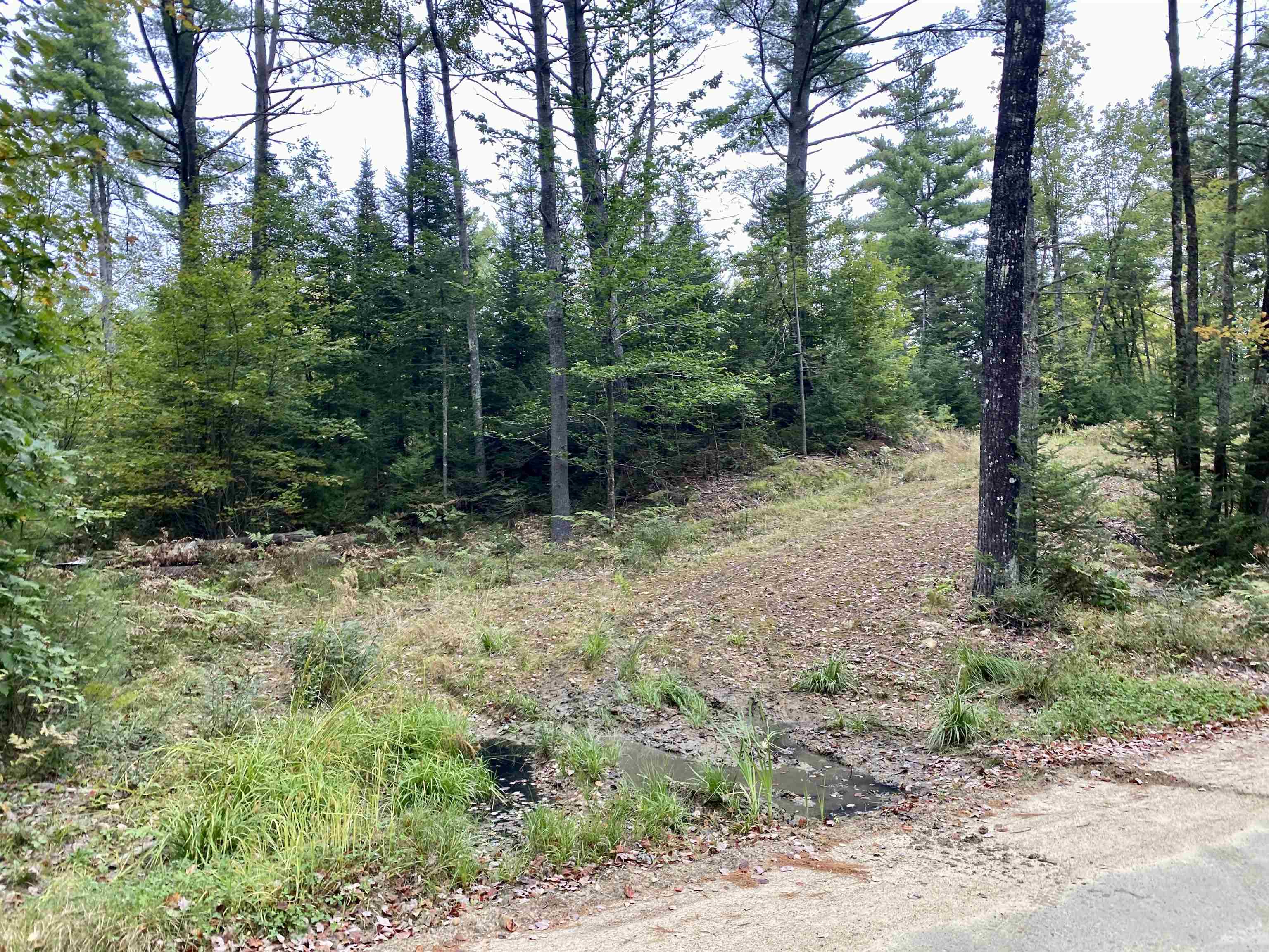 0 New Road, Unit MAP 7 LOT 703 Center Barnstead, NH 03225 - Photo 2 of 22