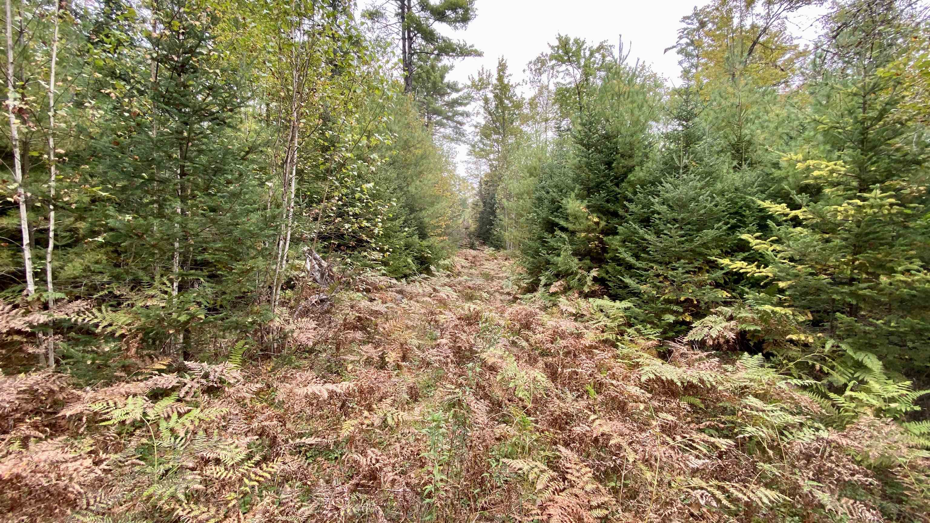 0 New Road, Unit MAP 7 LOT 703 Center Barnstead, NH 03225 - Photo 21 of 22