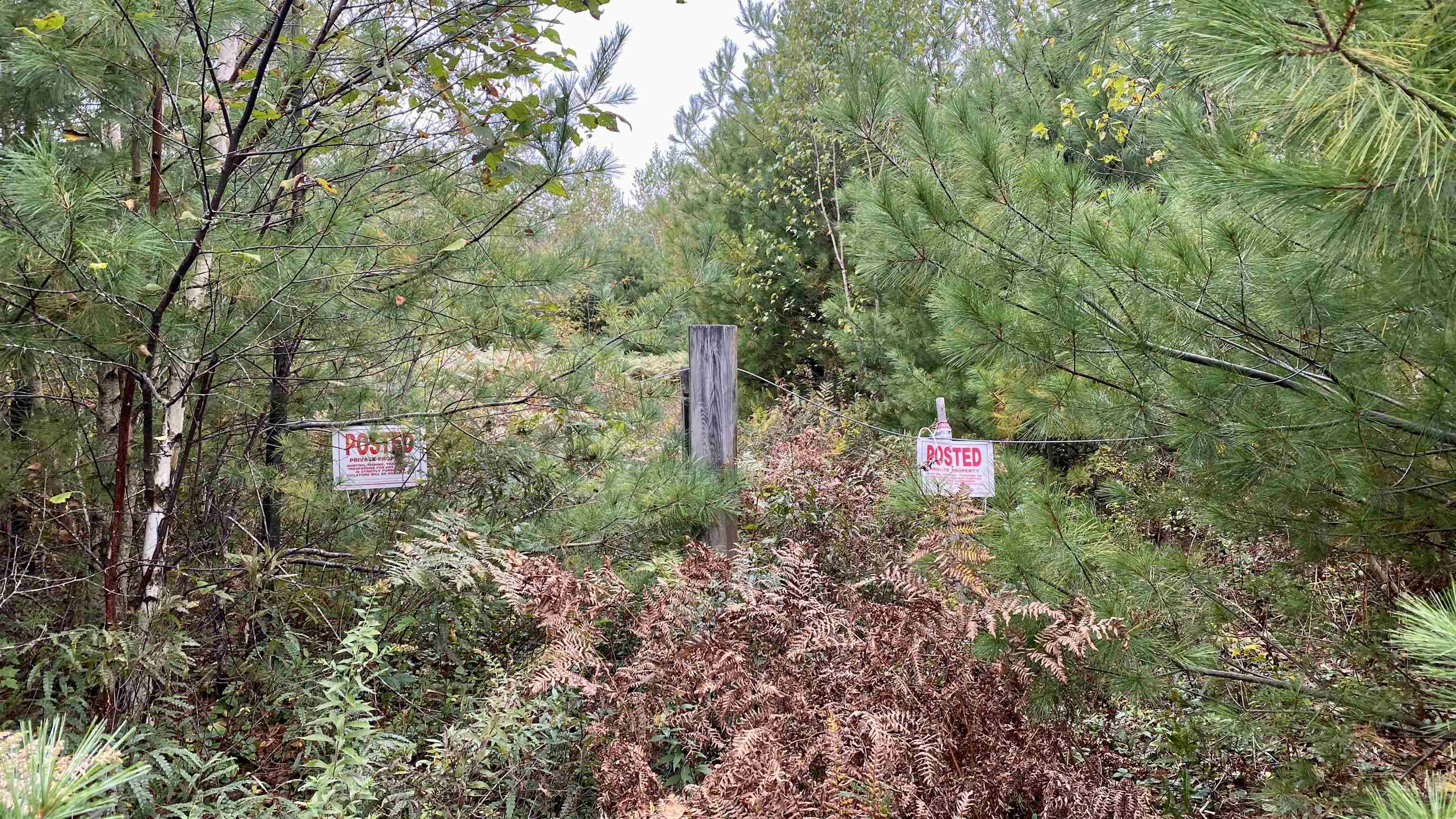 0 New Road, Unit MAP 7 LOT 703 Center Barnstead, NH 03225 - Photo 22 of 22