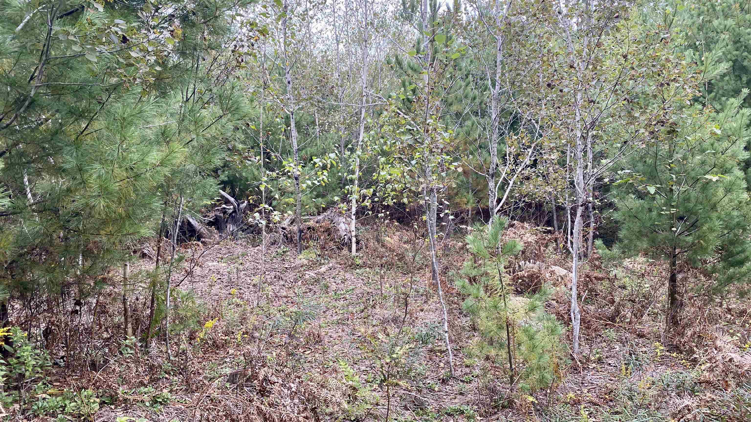 0 New Road, Unit MAP 7 LOT 703 Center Barnstead, NH 03225 - Photo 3 of 22