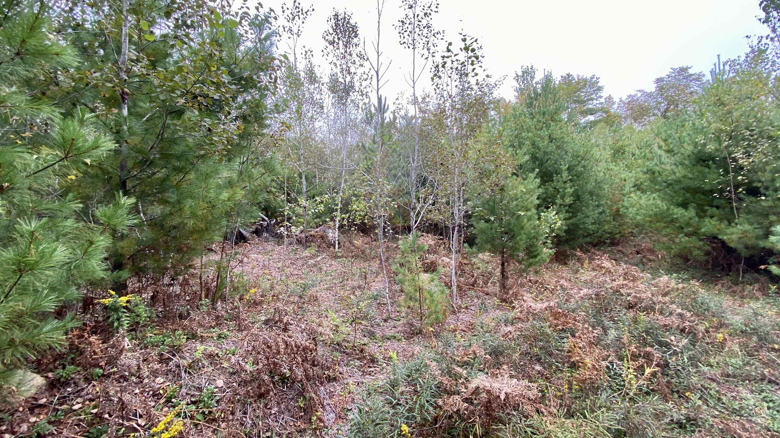 0 New Road, Unit MAP 7 LOT 703 Center Barnstead, NH 03225 - Photo 4 of 22