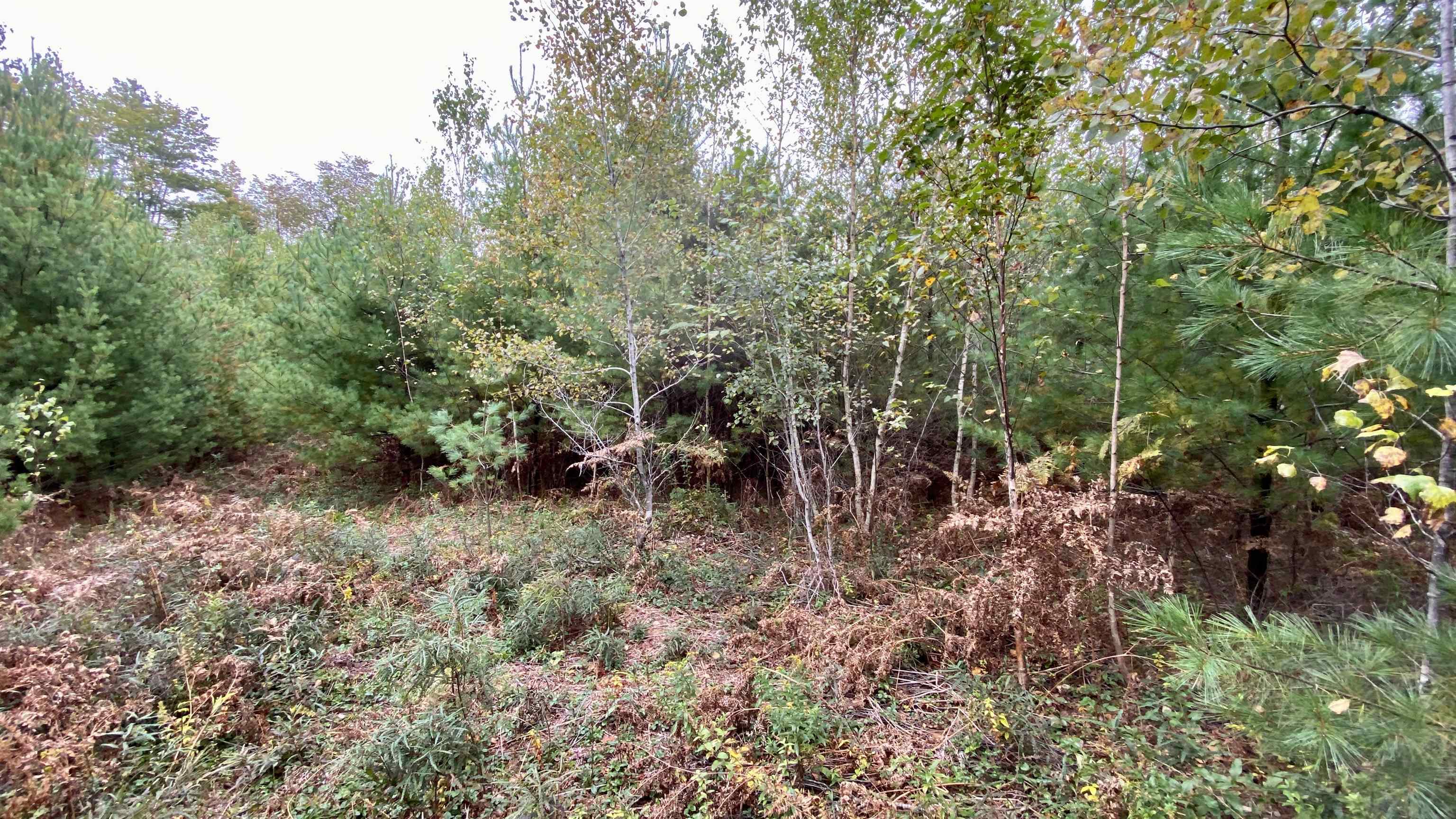 0 New Road, Unit MAP 7 LOT 703 Center Barnstead, NH 03225 - Photo 5 of 22