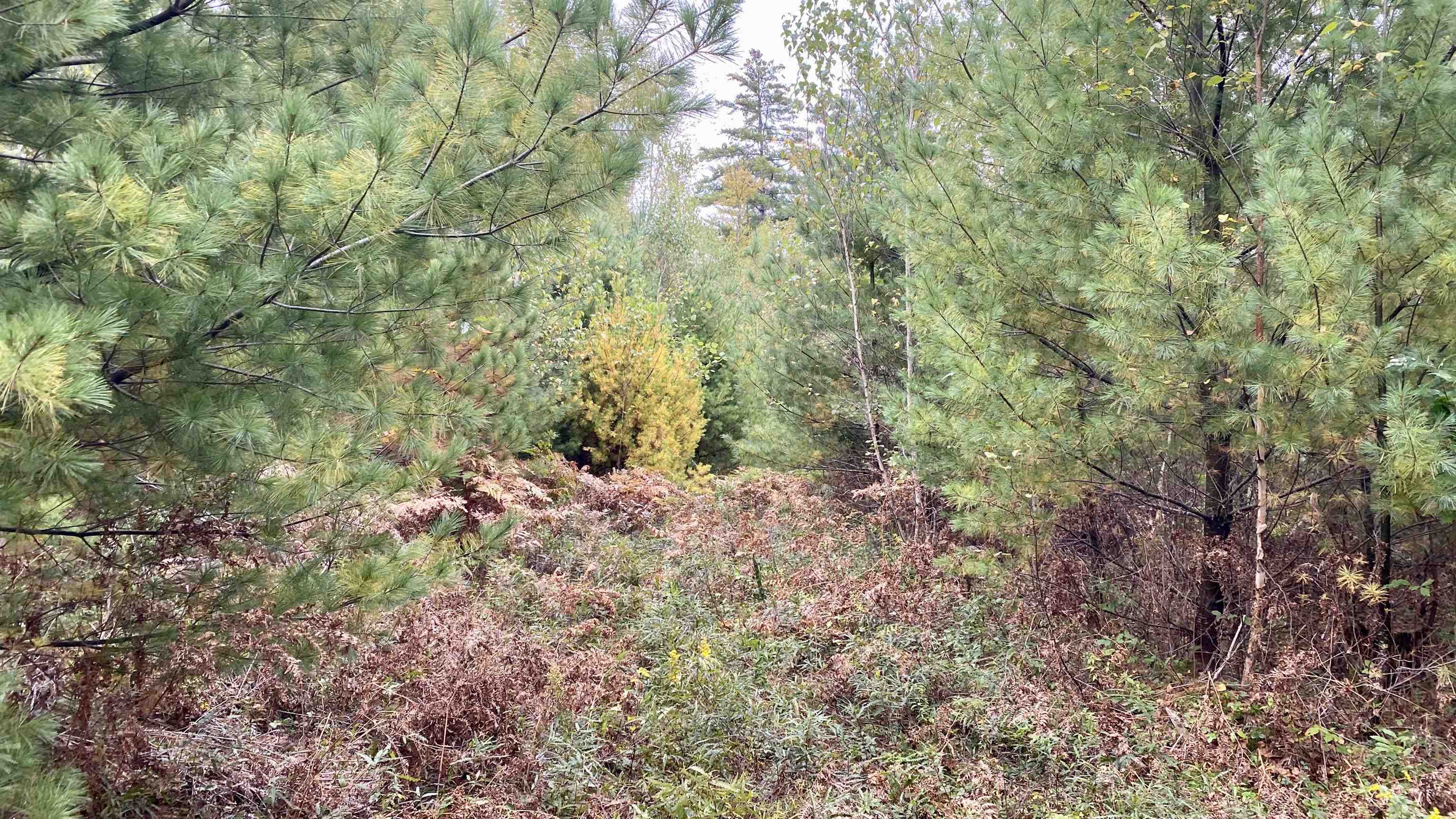 0 New Road, Unit MAP 7 LOT 703 Center Barnstead, NH 03225 - Photo 6 of 22