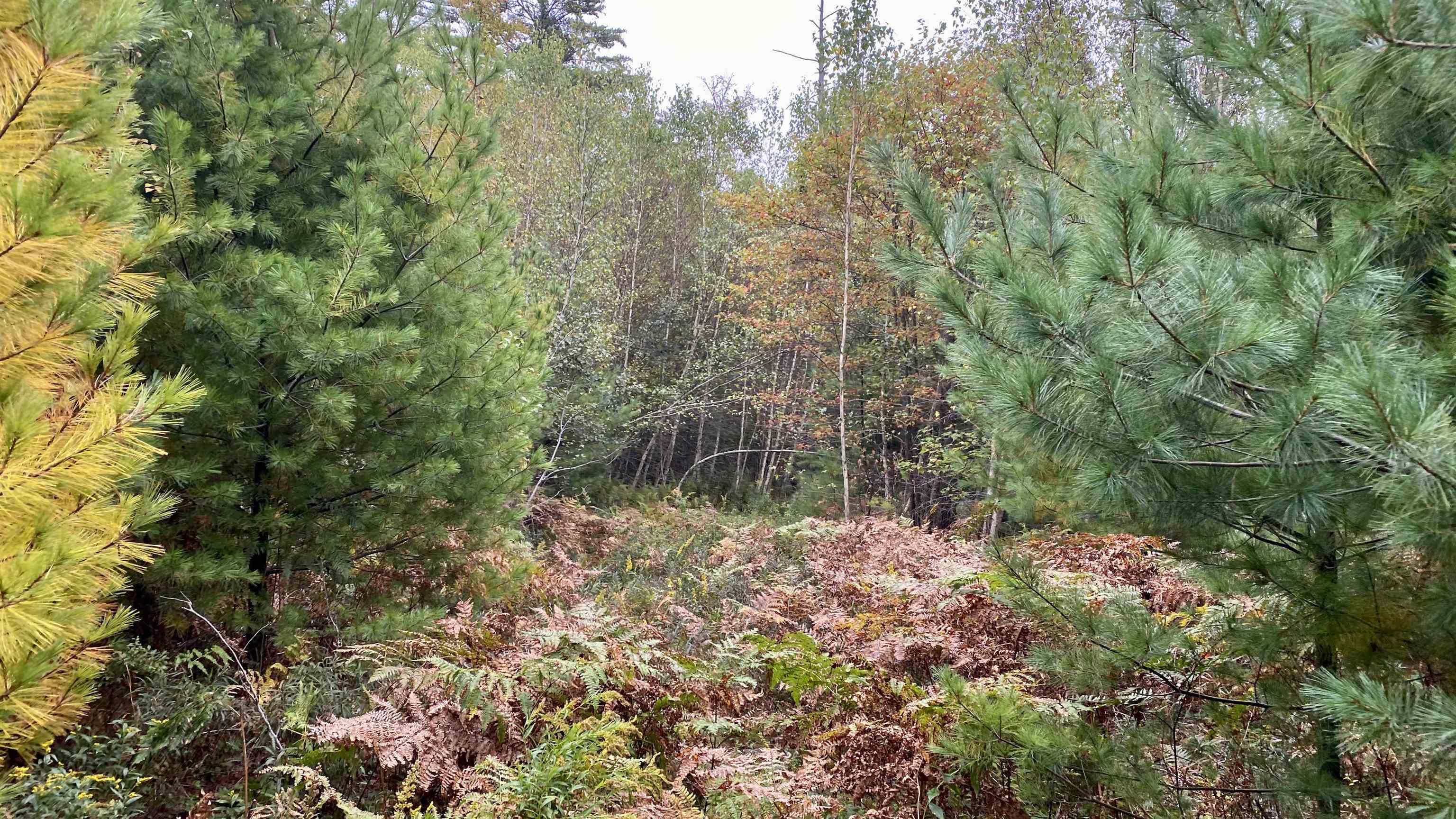 0 New Road, Unit MAP 7 LOT 703 Center Barnstead, NH 03225 - Photo 7 of 22