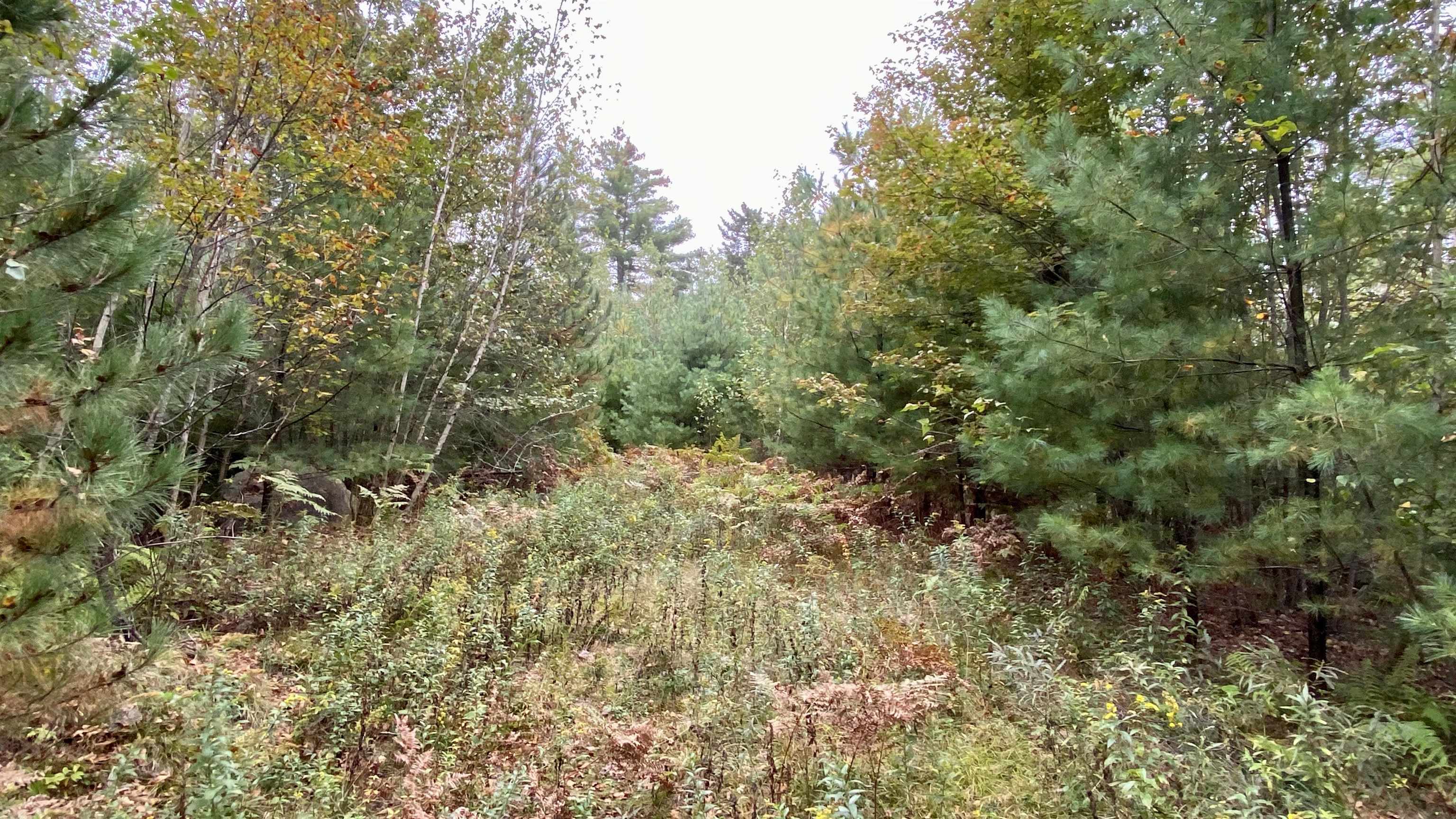 0 New Road, Unit MAP 7 LOT 703 Center Barnstead, NH 03225 - Photo 8 of 22