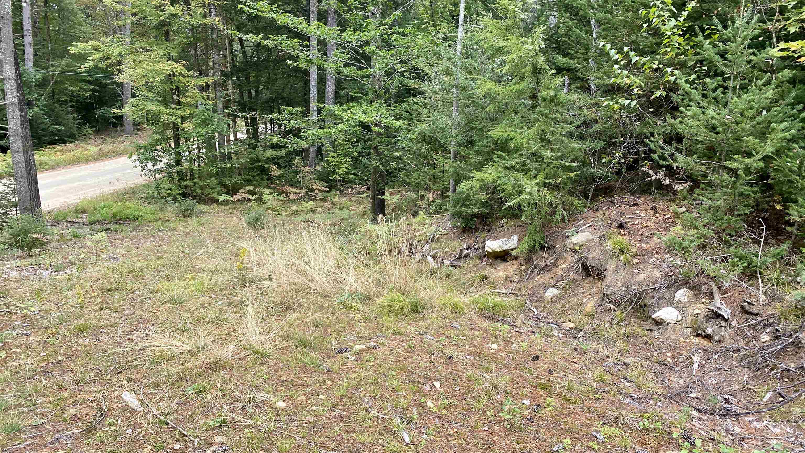 0 New Road, Unit MAP 7 LOT 703 Center Barnstead, NH 03225 - Photo 10 of 22