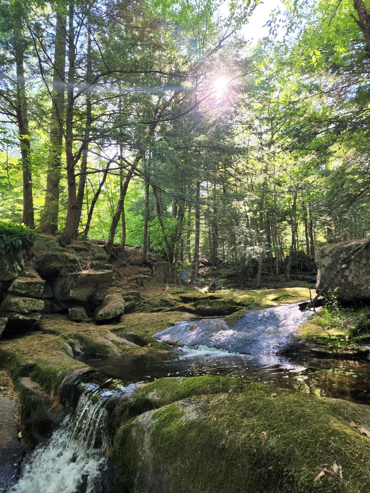Mutiny Brook Frontage