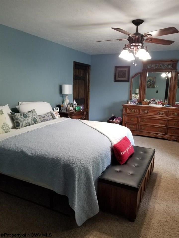 4207 Daybrook Road Fairview, WV 26570 - Photo 12 of 26 Gallery Image 12