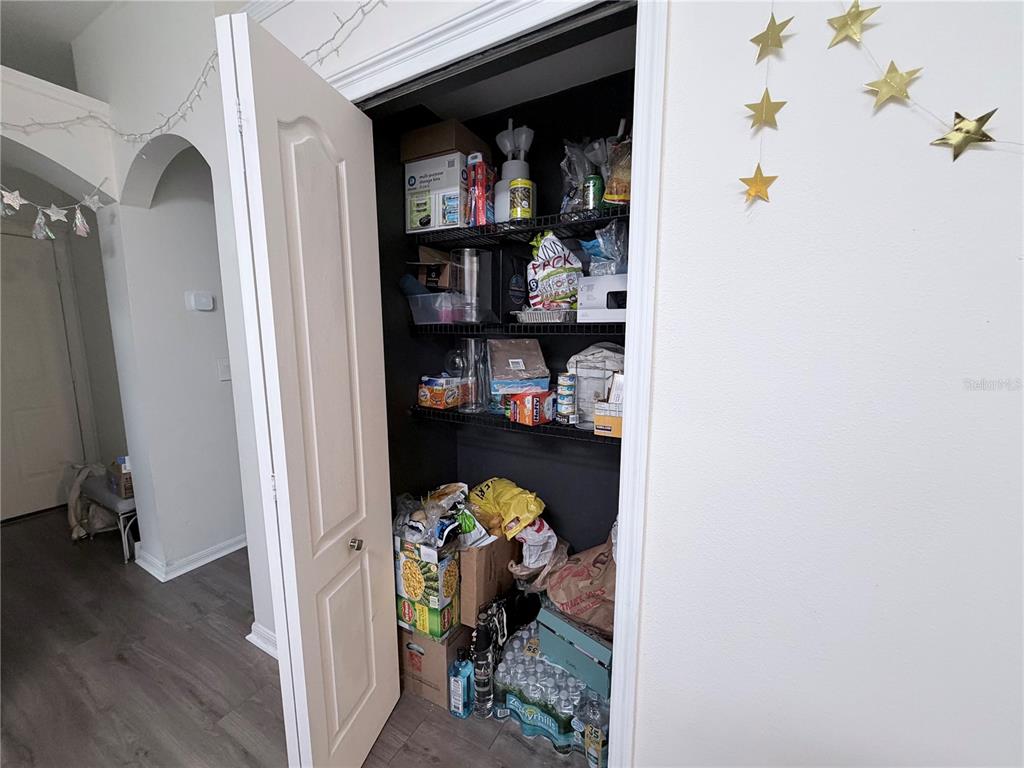 5634 Tanagerlake Road Lithia, FL 33547 - Photo 17 of 46