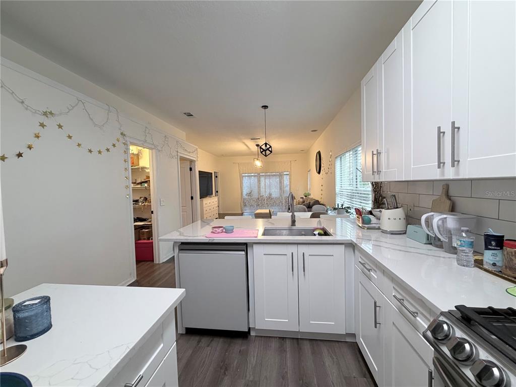 5634 Tanagerlake Road Lithia, FL 33547 - Photo 18 of 46