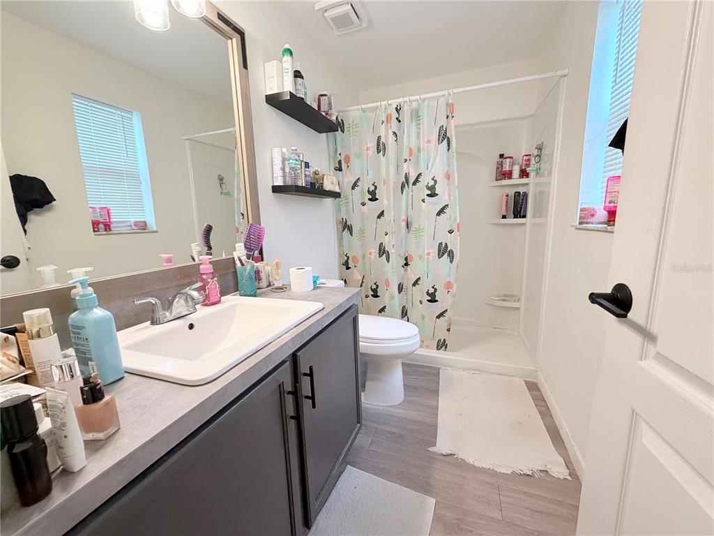 5634 Tanagerlake Road Lithia, FL 33547 - Photo 33 of 46 a bathroom with a sink a toilet and shower curtain