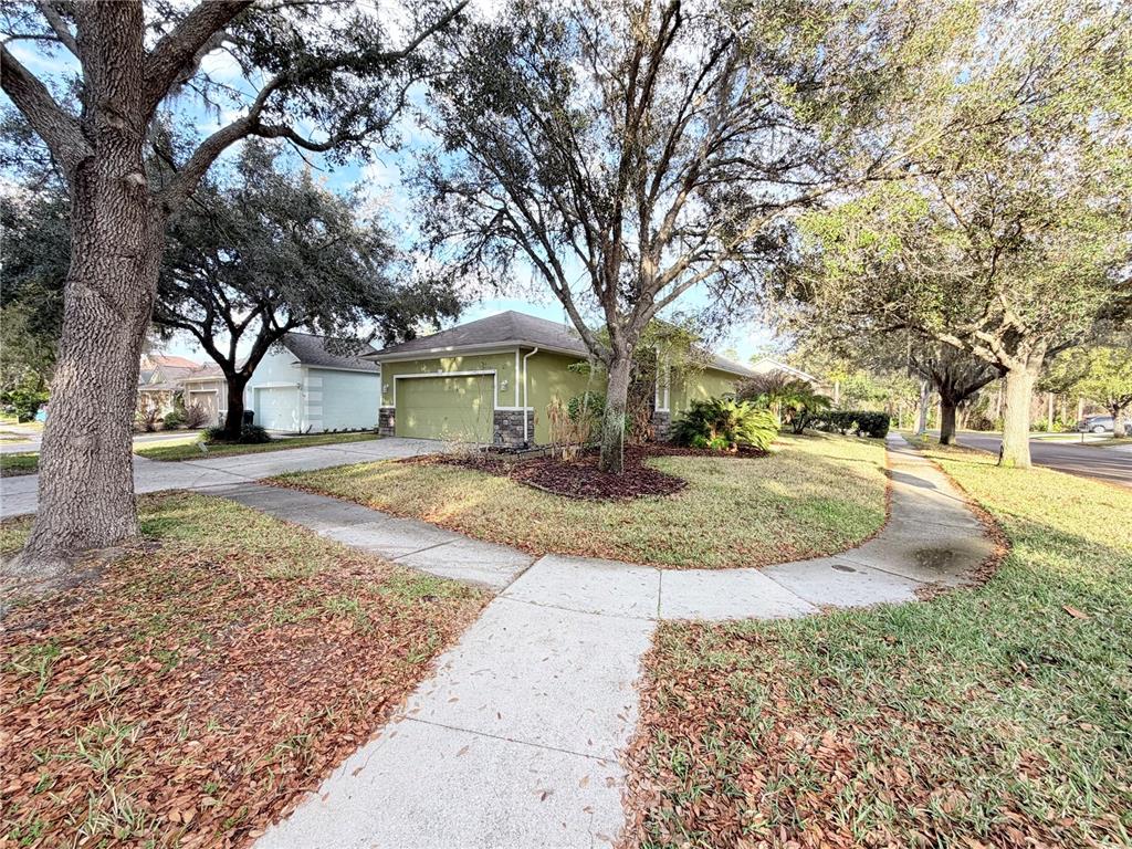 5634 Tanagerlake Road Lithia, FL 33547 - Photo 5 of 46