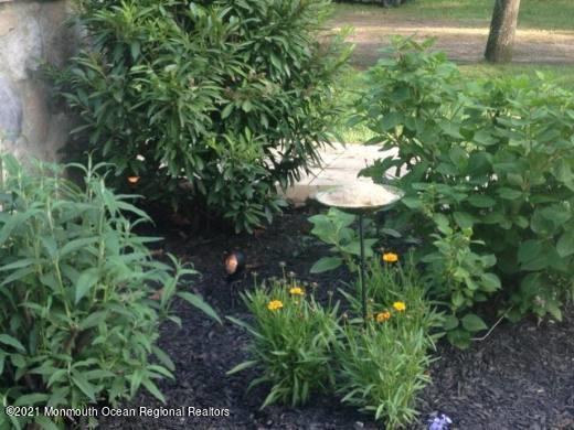 511 Cerrina Road Jackson, NJ 08527 - Photo 5 of 46 a close up of a plant in a garden
