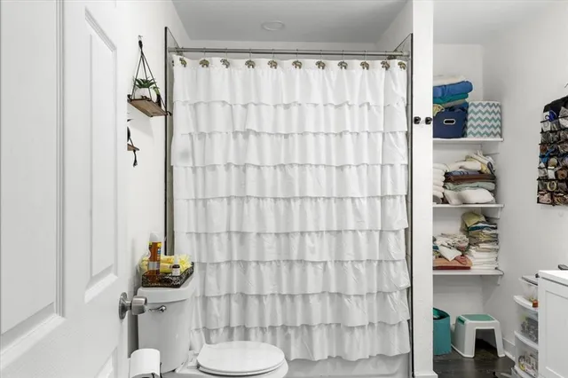 a tree in the middle of the yard