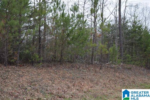 2108 Chelsea Rdg Drive, Unit 39 Columbiana, AL 35051 - Photo 2 of 4