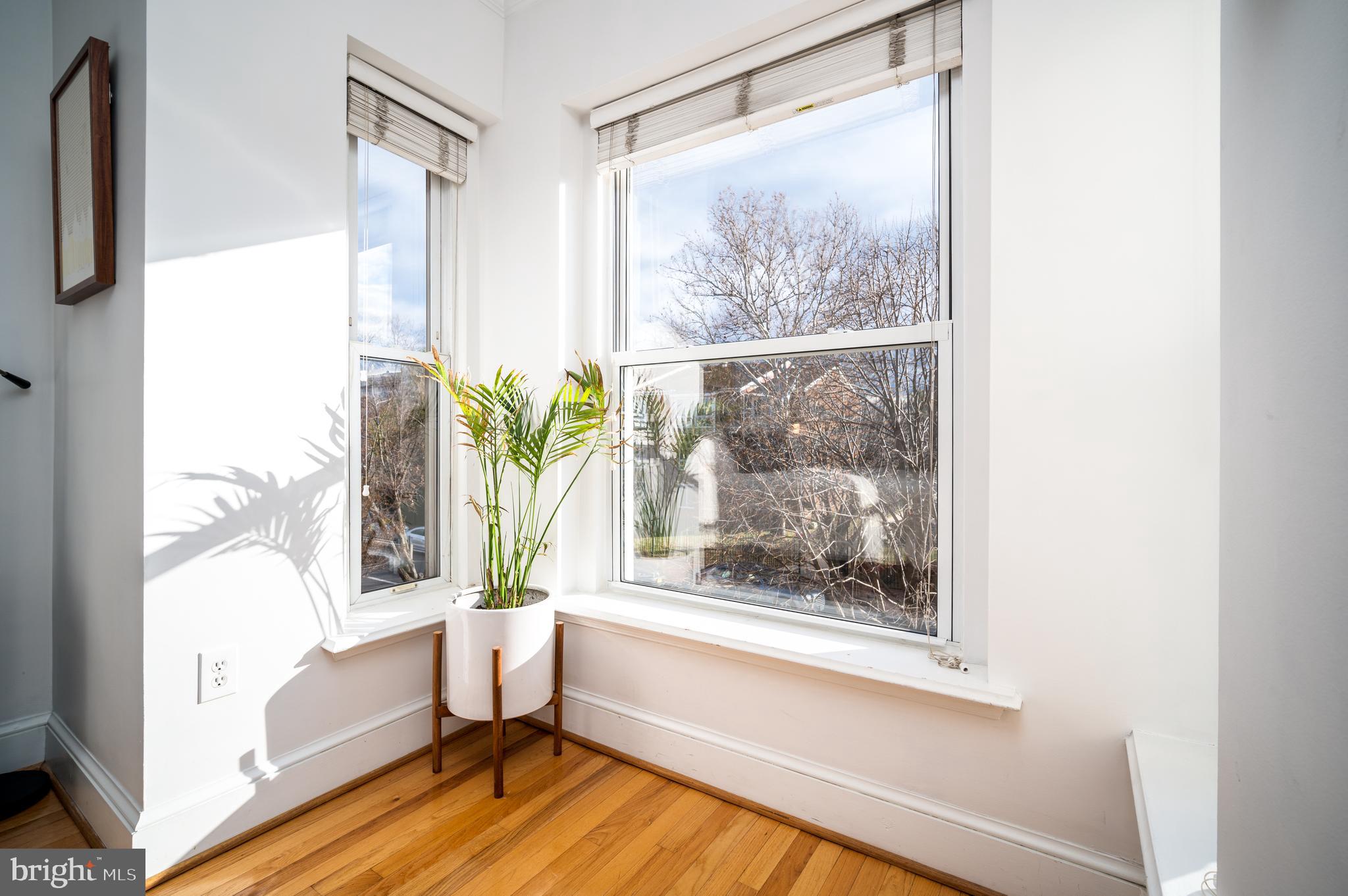 207 R Street Northwest, Unit 5 Washington, DC 20001 - Photo 14 of 22