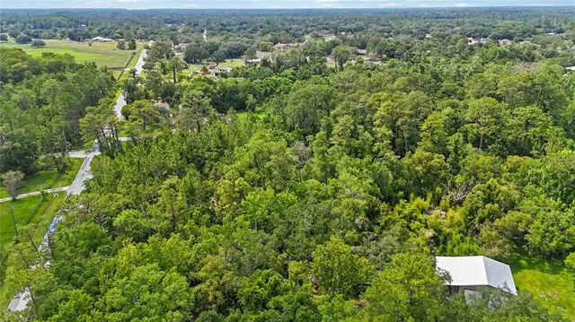a view of a garden with an trees
