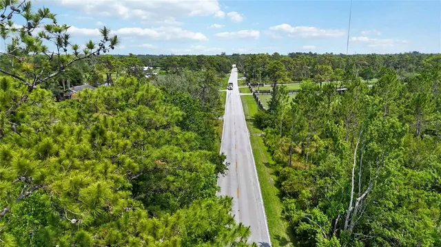 a view of a park with large trees
