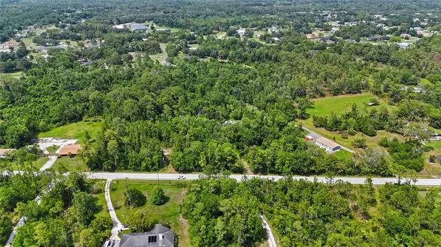 a view of a forest with a houses