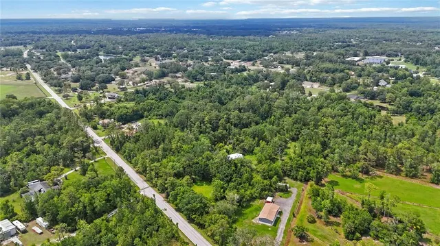a view of a city with lush green forest