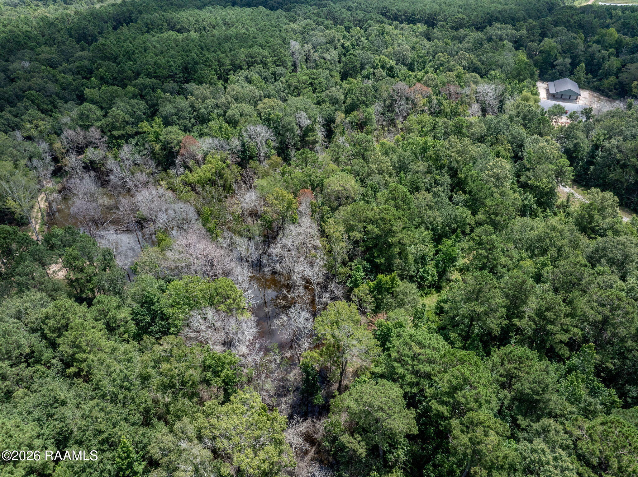 301 Crabapple Road Iota, LA 70543 - Photo 30 of 40 30-web-or-mls-DJI_20260630010423_0070_D