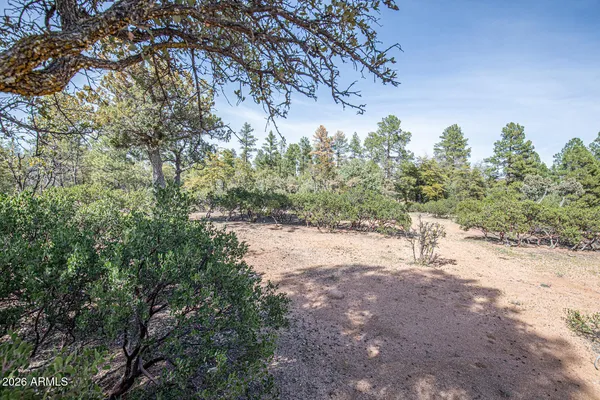 $999,500 | 501 North Chaparral Pines Drive, Payson, AZ 85541