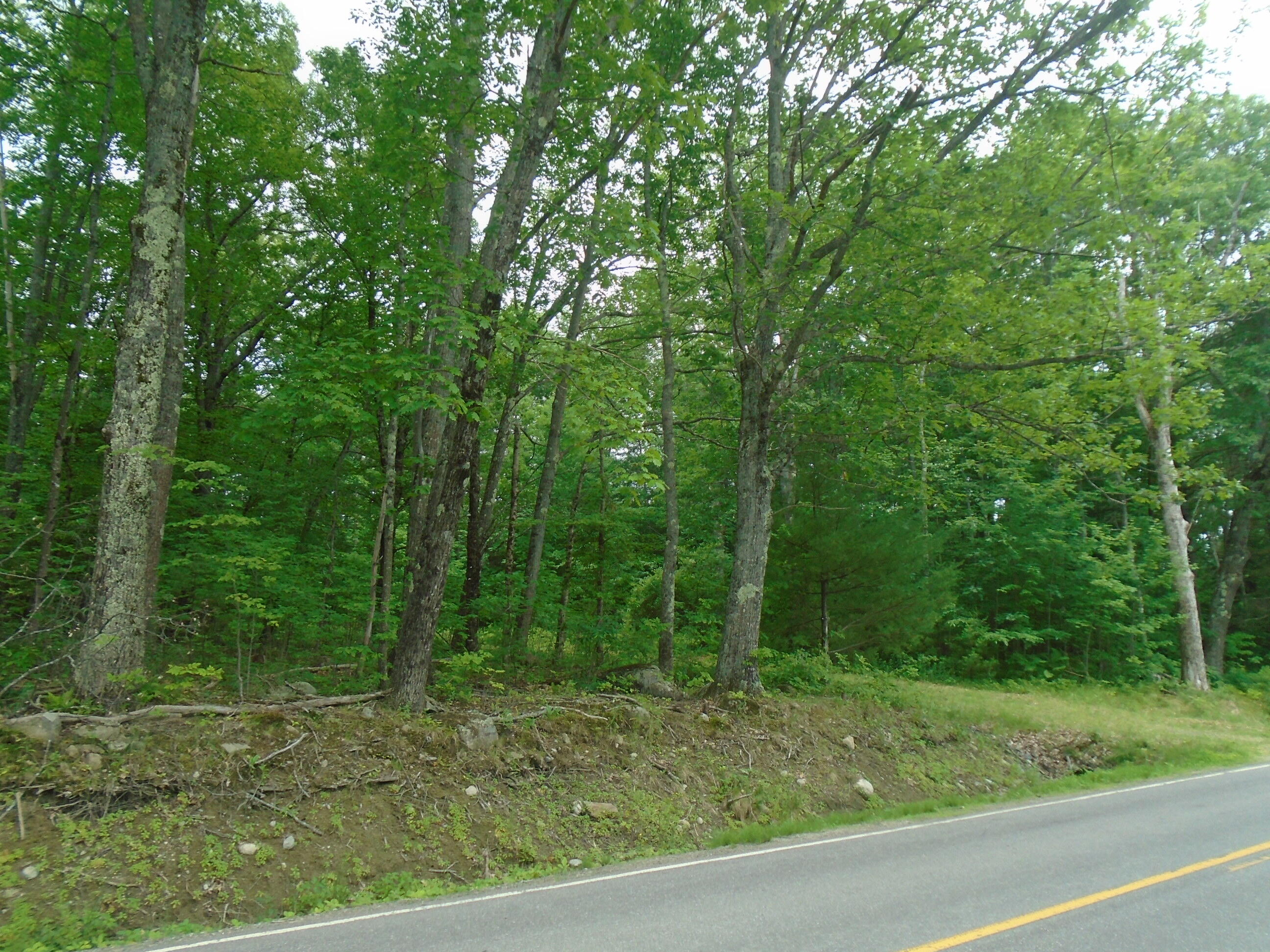 Lot 40 Snow Pond Road Oakland, ME 04963 - Photo 11 of 11 Entrance to Lot