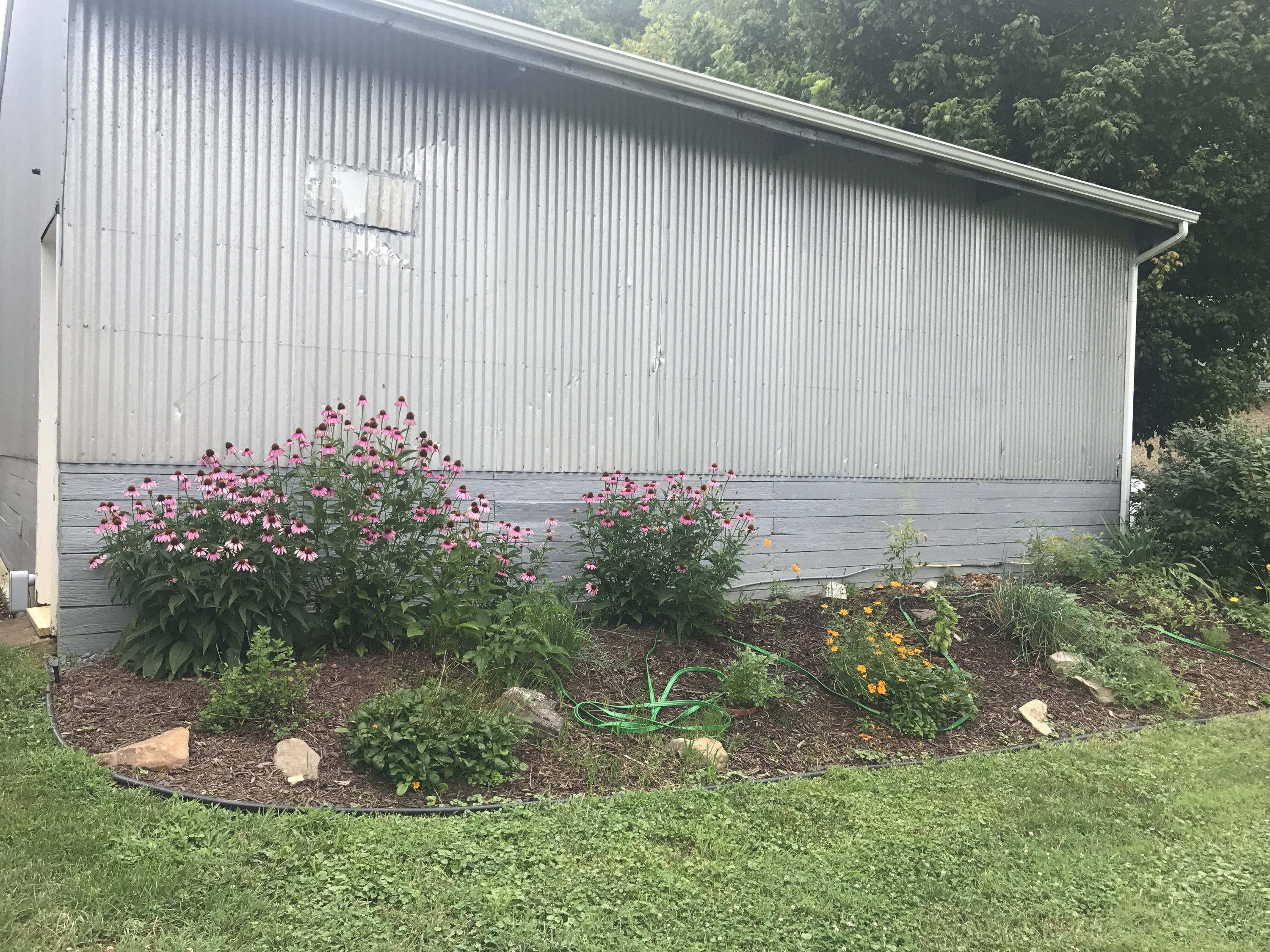 6 Chapel Road Buchanan, VA 24066 - Photo 22 of 35 flowers