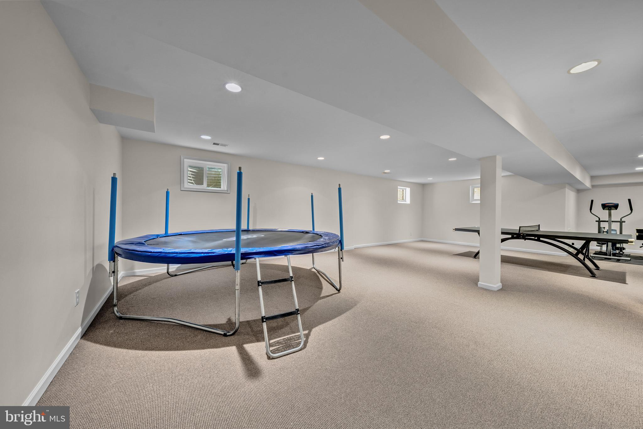 1077 Spring Hill Road McLean, VA 22102 - Photo 45 of 59 Lower Level Rec Room