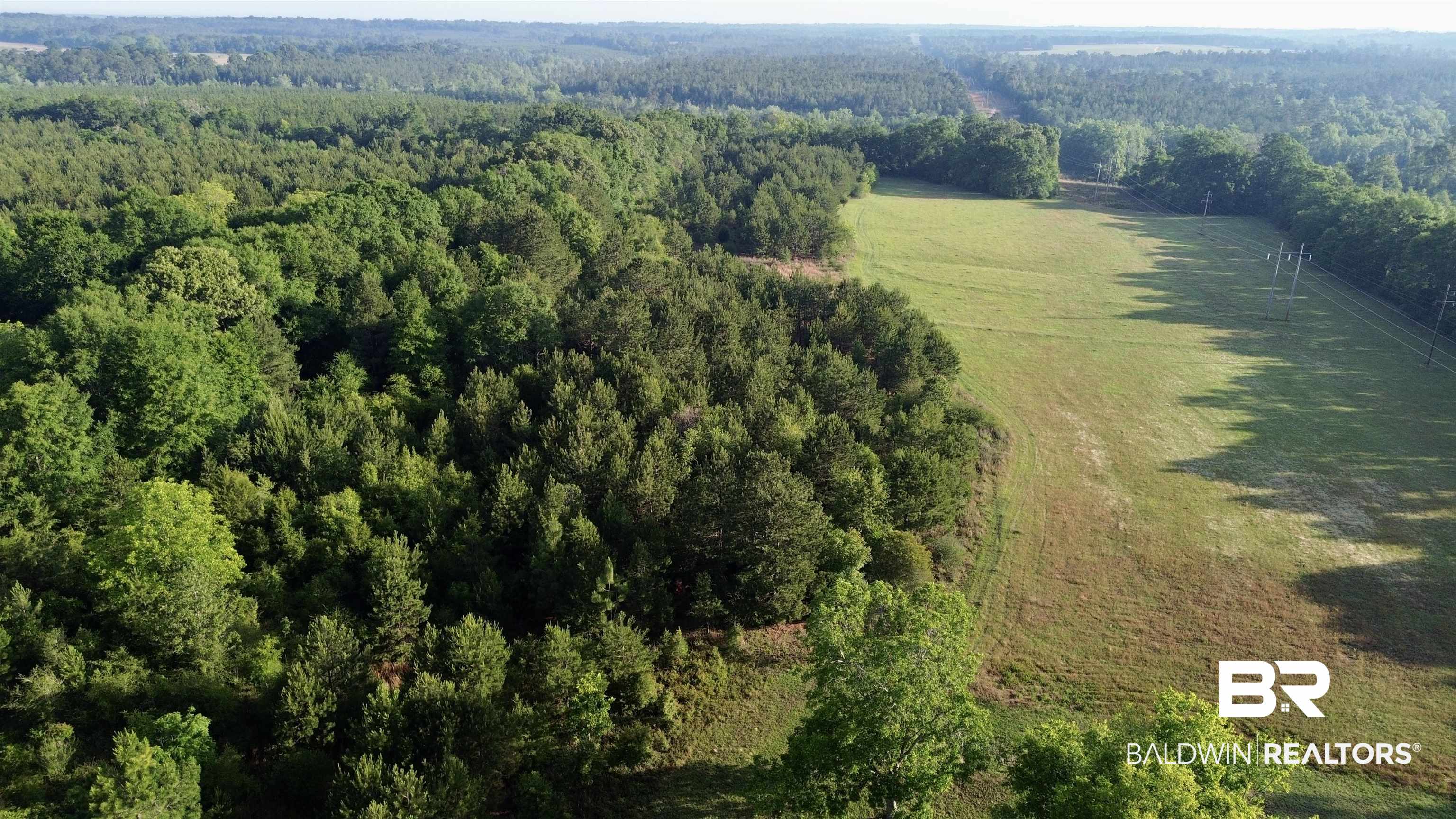 0 Joe Reeves Road Castleberry, AL 36432 - Photo 1 of 14