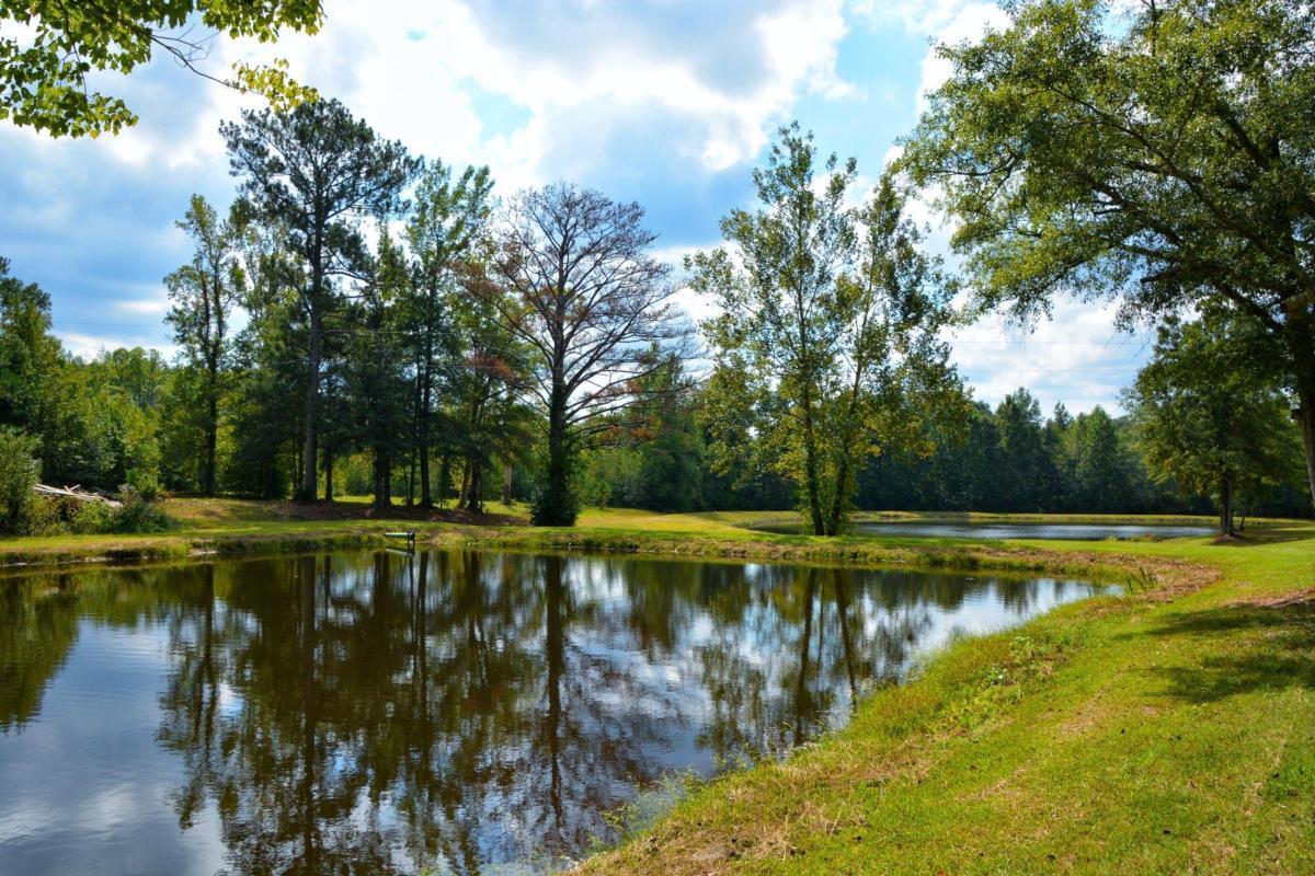 301 Spruill Bridge Road Temple, GA 30179 - Photo 67 of 73 a view of a lake with trees