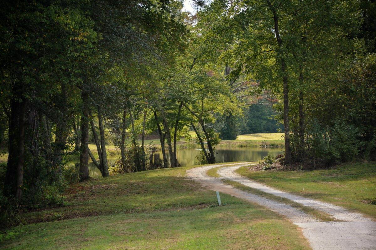301 Spruill Bridge Road Temple, GA 30179 - Photo 71 of 73 a view of a yard with swimming pool