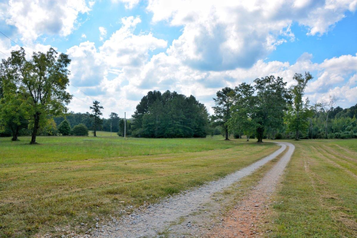 301 Spruill Bridge Road Temple, GA 30179 - Photo 72 of 73 a view of a big yard with large trees