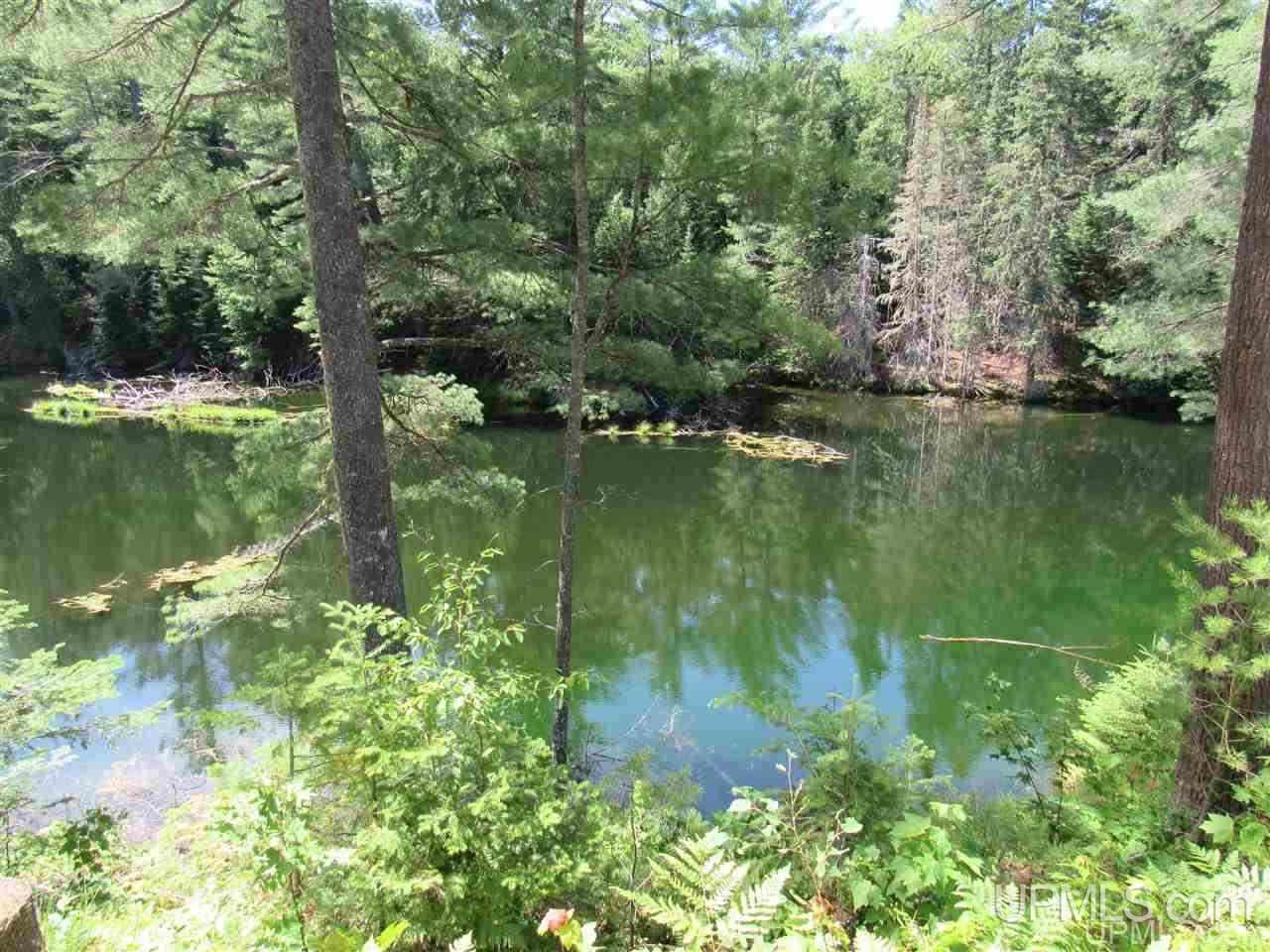 2804-acres Co Rd 442 McMillan, MI 49853 - Photo 28 of 48