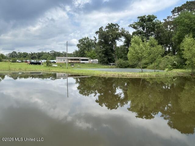 2096 Swilley Road Wesson, MS 39191 - Photo 82 of 86 IMG_4371